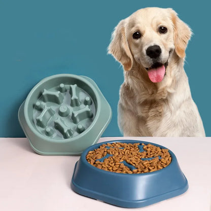 Slow Feeder Dog & Cat Bowl — Bloat Prevention Design