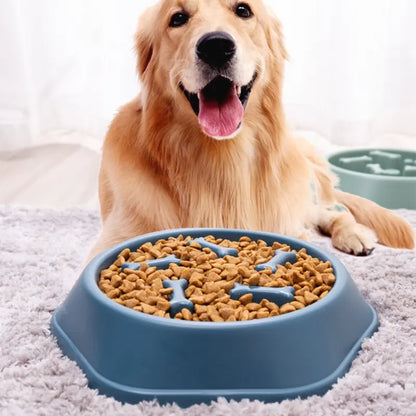 Slow Feeder Dog & Cat Bowl — Bloat Prevention Design