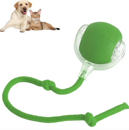 Smart Rolling Cat Ball — Self-Moving Interactive Toy
