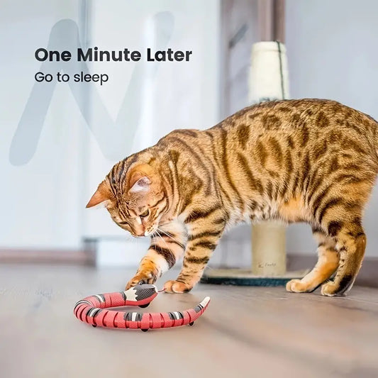 Interactive Snake Toy for Cats — USB Rechargeable