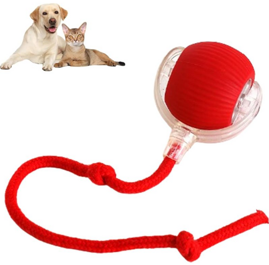 Smart Rolling Cat Ball — Self-Moving Interactive Toy