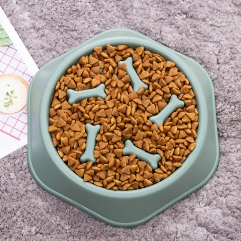 Slow Feeder Dog & Cat Bowl — Bloat Prevention Design